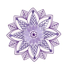 BFC31358 15th Anniversary 2018 Designs -05