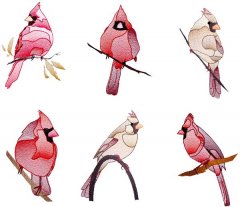 BFC1784 Sheer Cardinals
