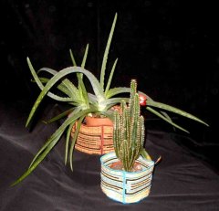 BFC0178 Lace Bowls - Southwest Baskets