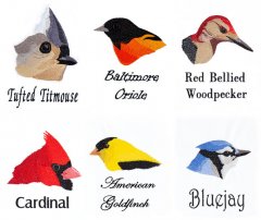 BFC1868 Backyard Bird Portraits