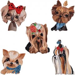 BFC1883 Pretty, Pretty Yorkies!