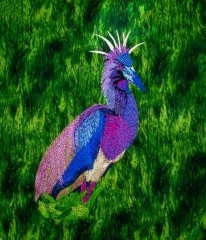 BFC1929 Large Tricolored Heron