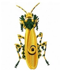 RMG196 African Mantis
