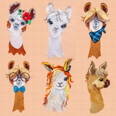 BFC1975 Ooh La Llama