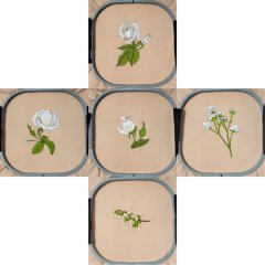 BFC1988 White Satin Roses