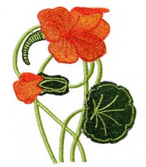 Art Nouveau Medium Nasturtium