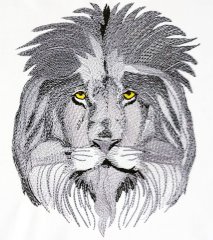 BFC31982 The Patriarch of the Pride