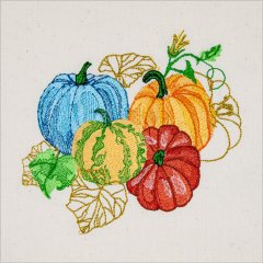 BFC2026 Elegant Pumpkins