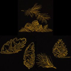 BFC2039 Golden Pinecones