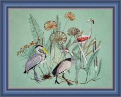 BFC2044 Equatorial Guinea Birds and Grasses