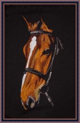 BFC2055 Large Portrait of a Horse on Black