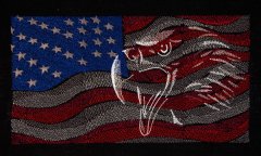 BFC2076 Large Patriotic Eagle on Black