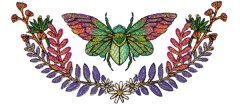 BFC2082 Insects with Flowers