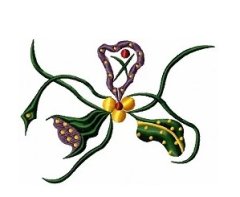 RMG20 Red Moon Clover