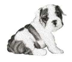RMG2113a  Buddy 2113a