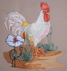 Rooster 1