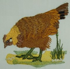 Hen 3