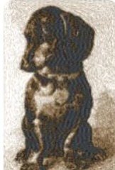 RMG2120a  Dachshund 2120A