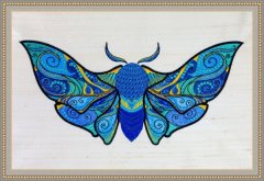 BFC2121 The Turquoise Moth