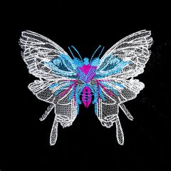 BFC31865 Butterfly Four