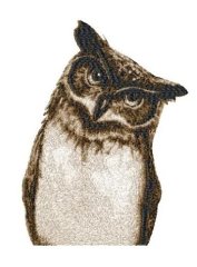 RMG2270 Owl