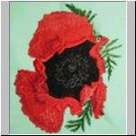 BFC0237 Poppies