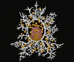 RMG237 Radiolarians Set 1