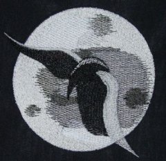BFC30340 By the Moon