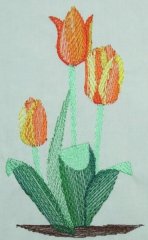 BFC0250 Watercolor Tulips
