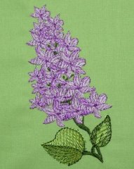 BFC0258 Lilacs