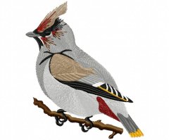 RMG265  Waxwing