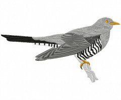 RMG268 Cuckoo