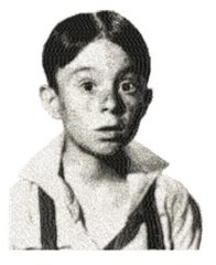 RMG2764  Alfalfa