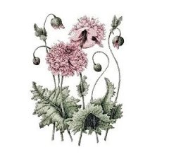RMG2772 Vintage Flower