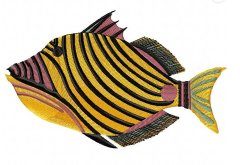 RMG283 casu-casu plate 123