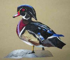 BFC0299 Waterfowl