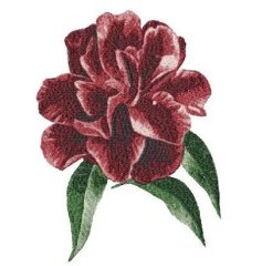 RMG3006  Flower 3006