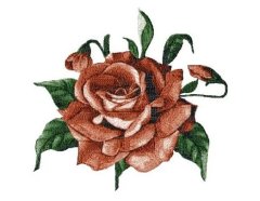 RMG3010  Rose 3010