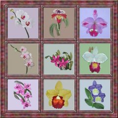 BFC0303 Watercolor Orchids