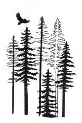 Christmas in the Pines 5