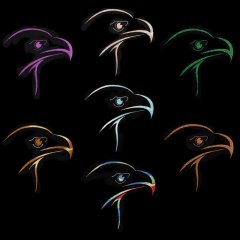 Eagle 1 Design - Endless Possibilities