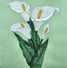 BFC0309 Calla Lilies