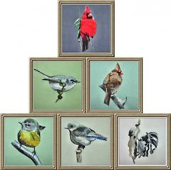 BFC0311 More Small Birds