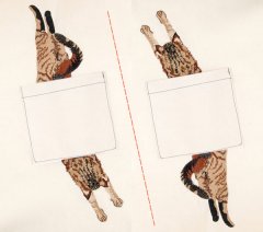 BFC31343 Leaping Cat Pocket topper