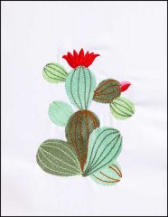 BFC31390 Flowering Cactus