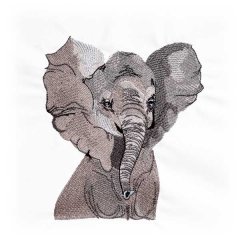 Squirt the Teenage Elephant