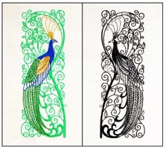 Stately Peacock