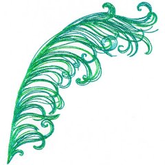 Variegated Feather