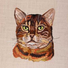 The Bengal