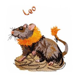 BFC31530 Leo